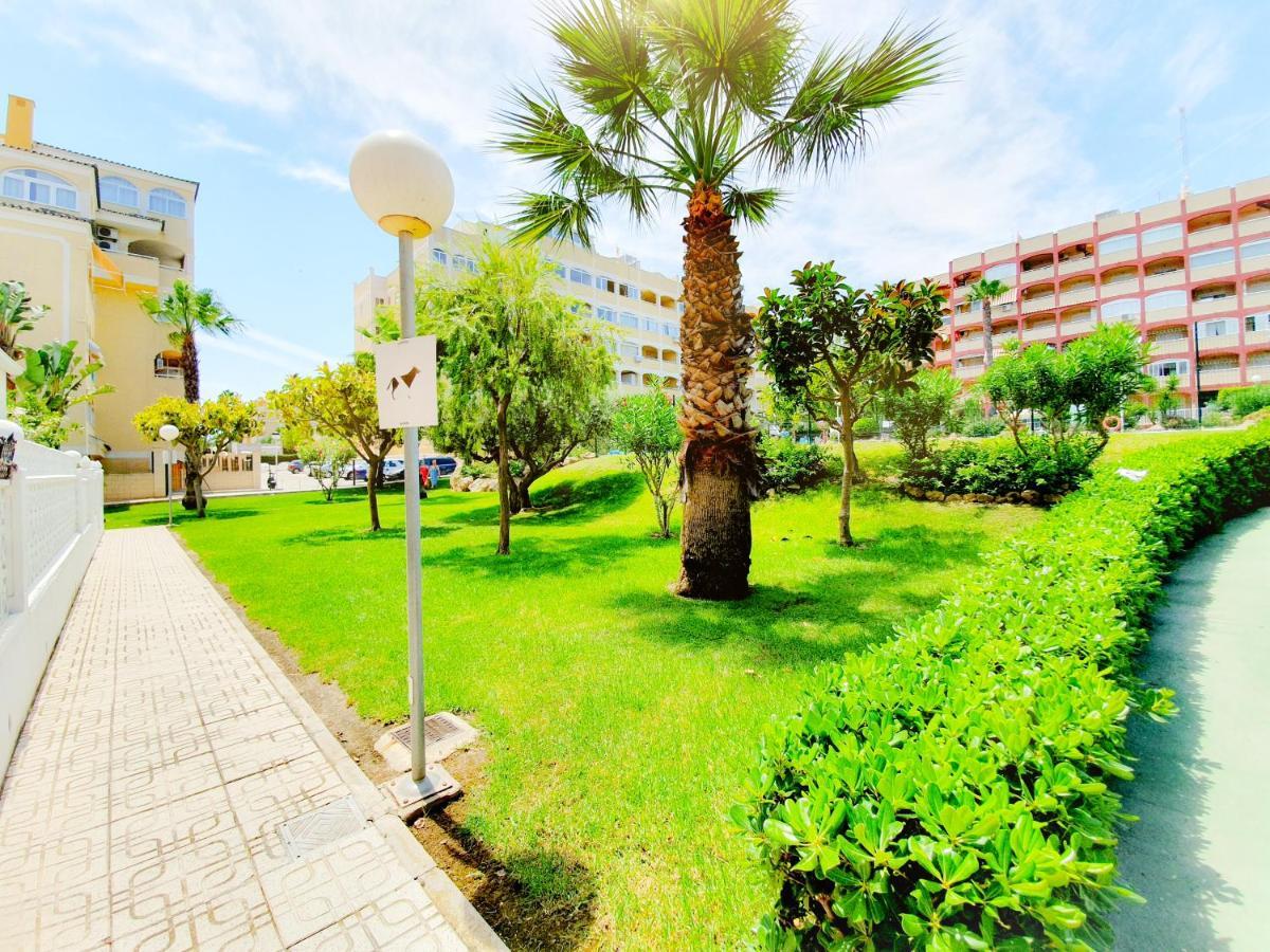 Best House Paola Torrevieja Extérieur photo